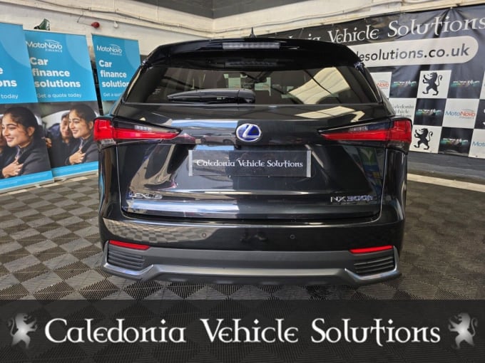 2025 Lexus Nx