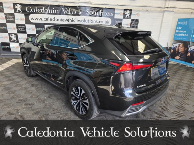 2025 Lexus Nx