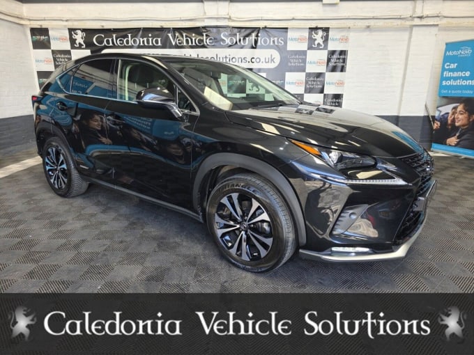 2025 Lexus Nx