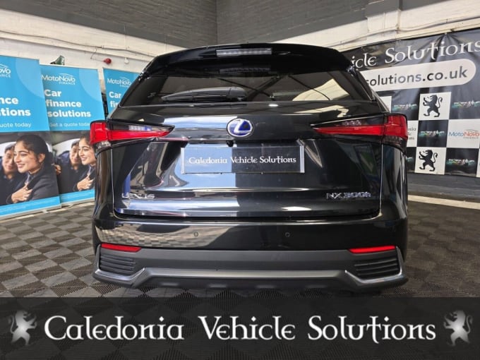 2025 Lexus Nx