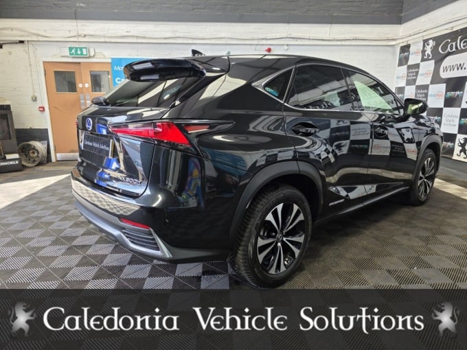 2025 Lexus Nx