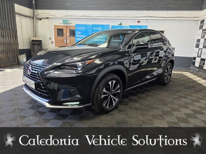 2025 Lexus Nx