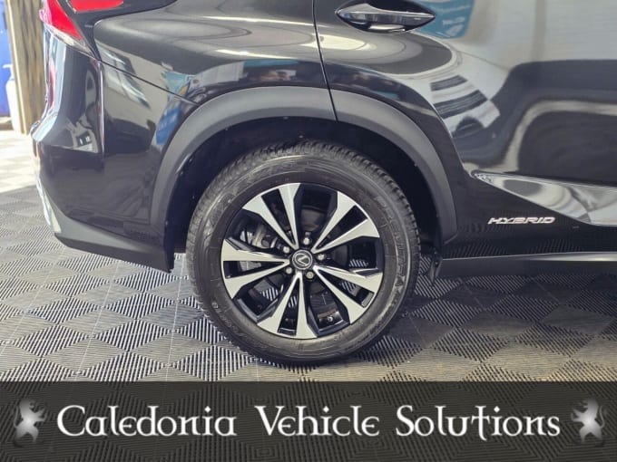 2025 Lexus Nx