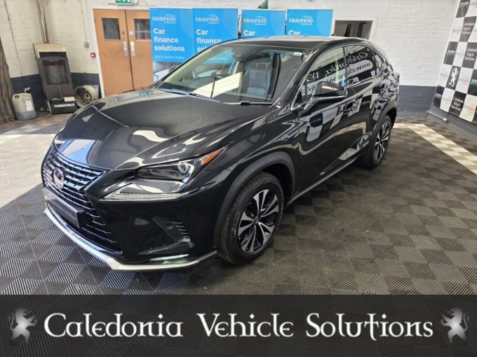2025 Lexus Nx