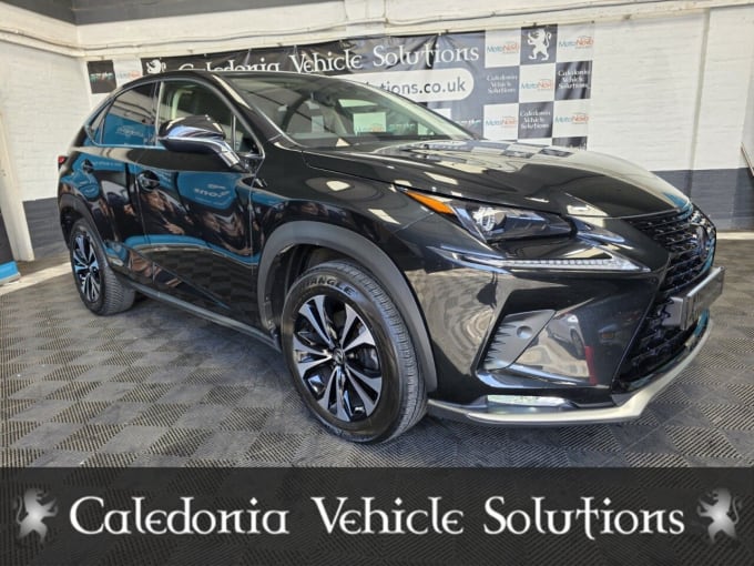 2025 Lexus Nx