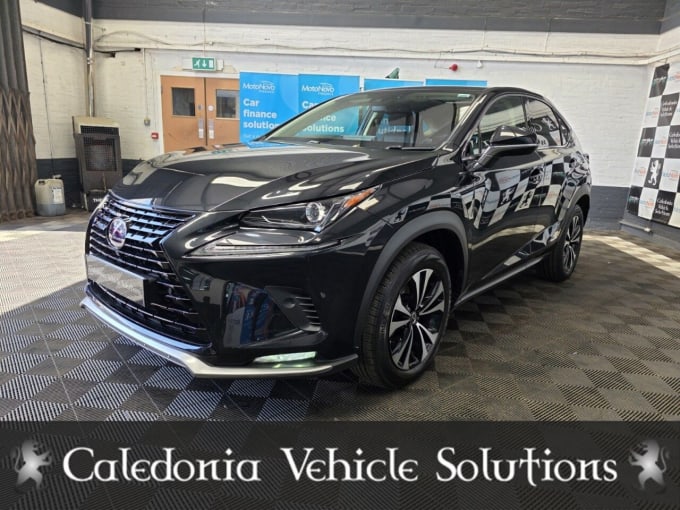 2025 Lexus Nx