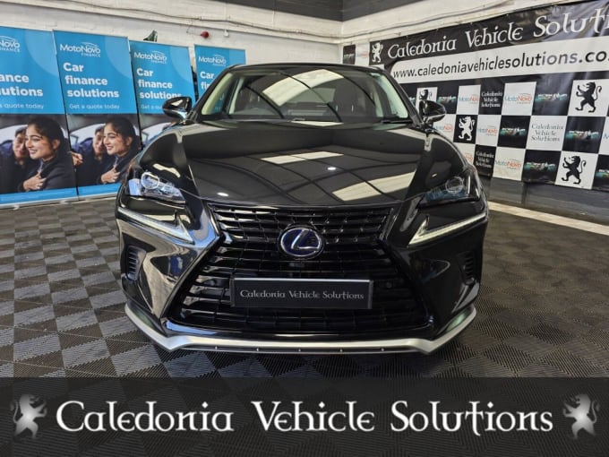 2025 Lexus Nx