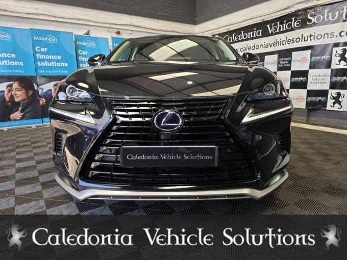 2025 Lexus Nx