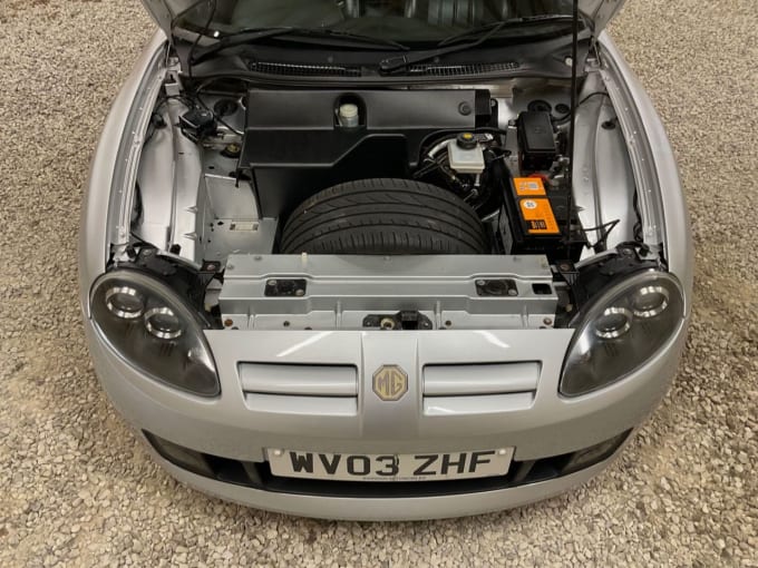 2025 Mg Tf
