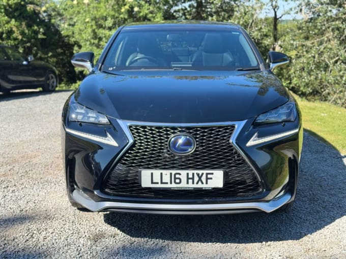 2025 Lexus Nx