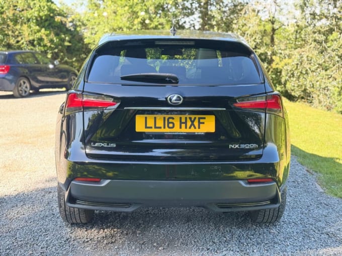 2025 Lexus Nx