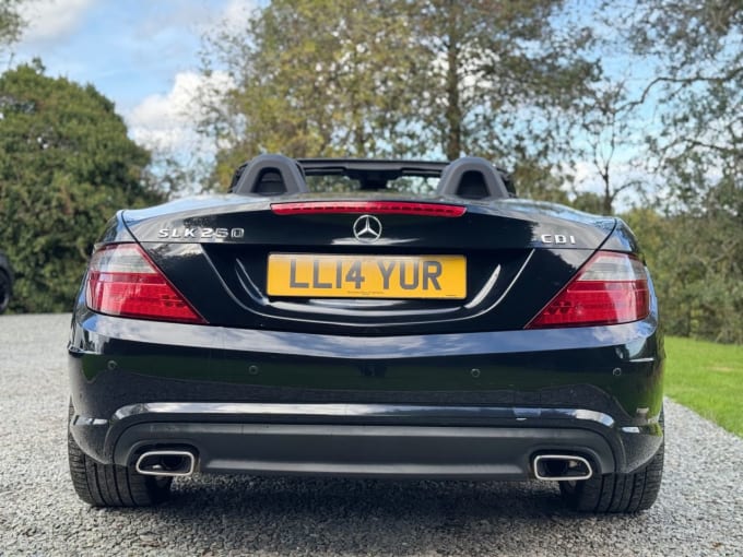 2025 Mercedes-benz Slk