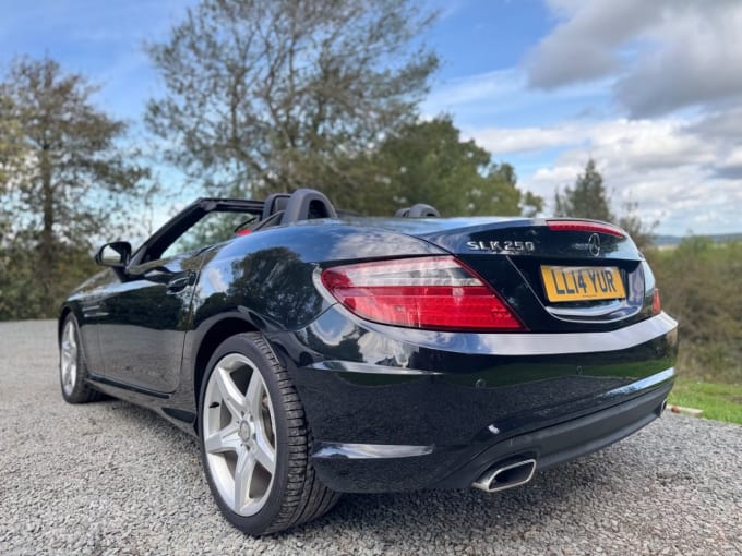 2025 Mercedes-benz Slk
