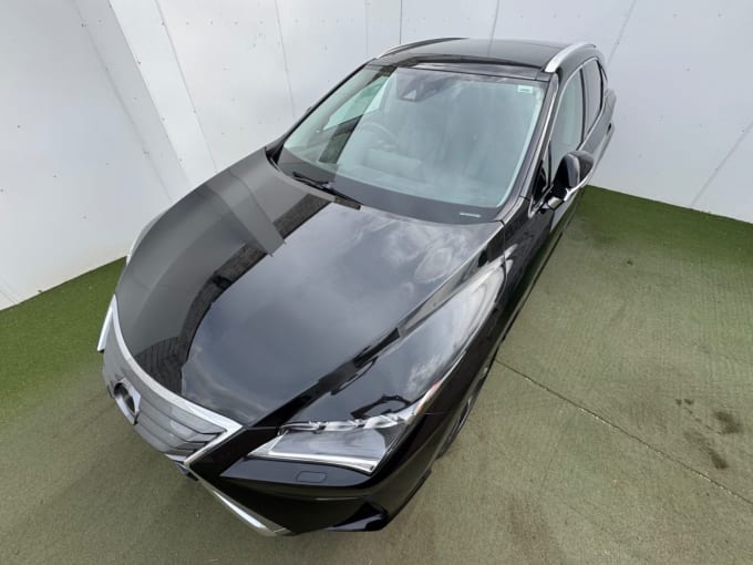 2025 Lexus Rx