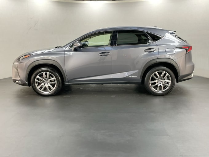 2024 Lexus Nx