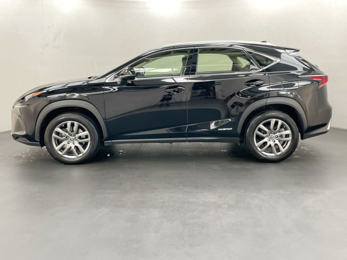 2024 Lexus Nx