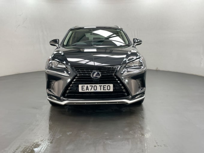 2025 Lexus Nx