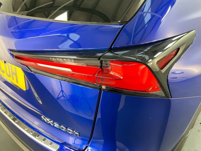 2025 Lexus Nx