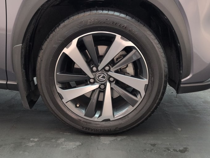 2025 Lexus Nx