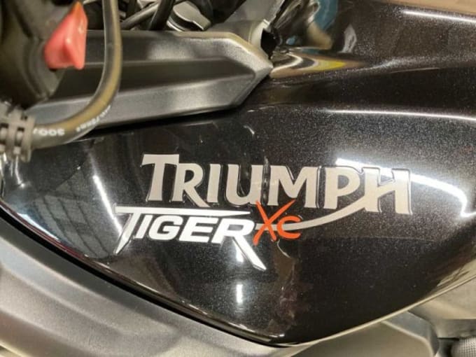2025 Triumph Tiger 800 Xc