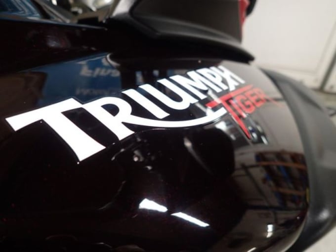 2025 Triumph Tiger 800 Xc Abs