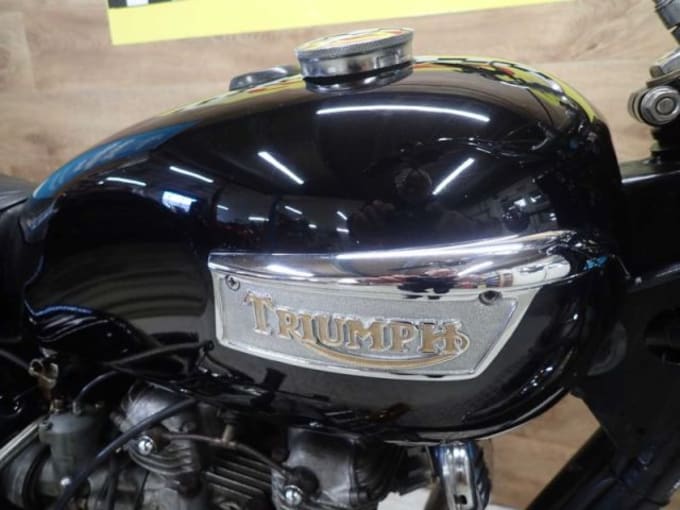 2025 Triumph Bonneville