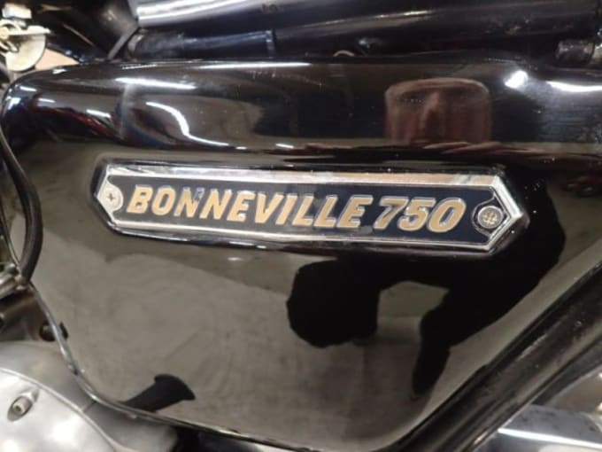 2025 Triumph Bonneville