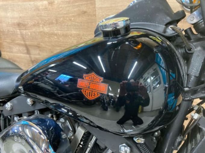 2025 Harley-davidson Harley Sturgis
