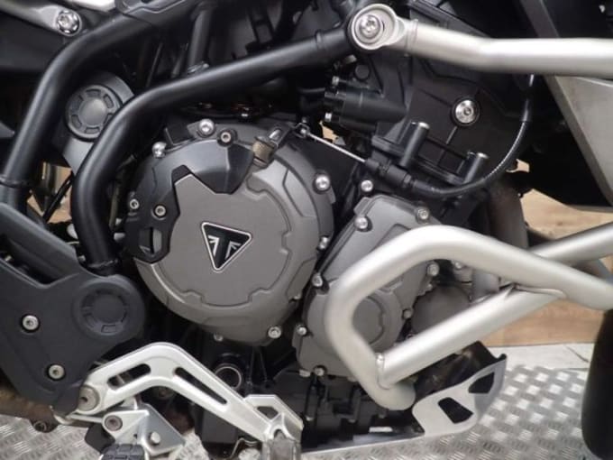 2025 Triumph Tiger 900 Rally Pro