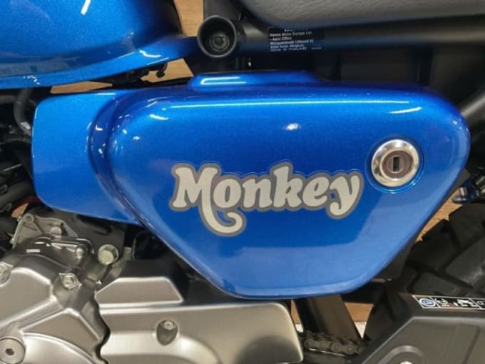 2025 Honda Z 125 Ma-n