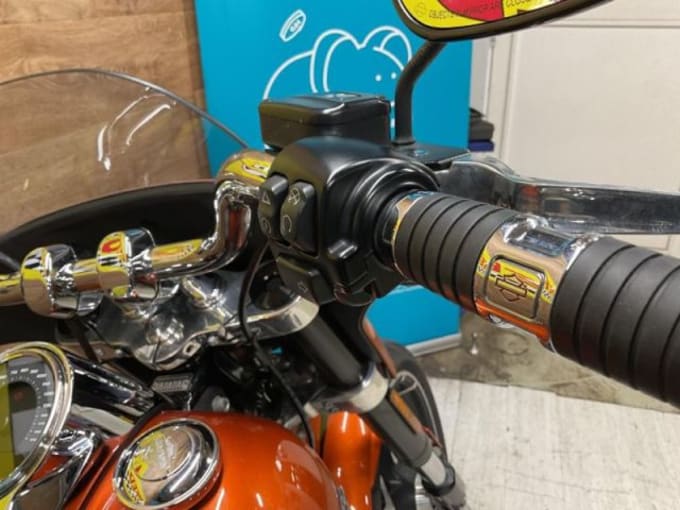 2025 Harley-davidson Flsb Sport Glide 1745 20