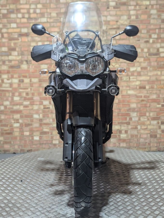 2024 Triumph Tiger