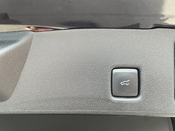 2024 Ford Kuga