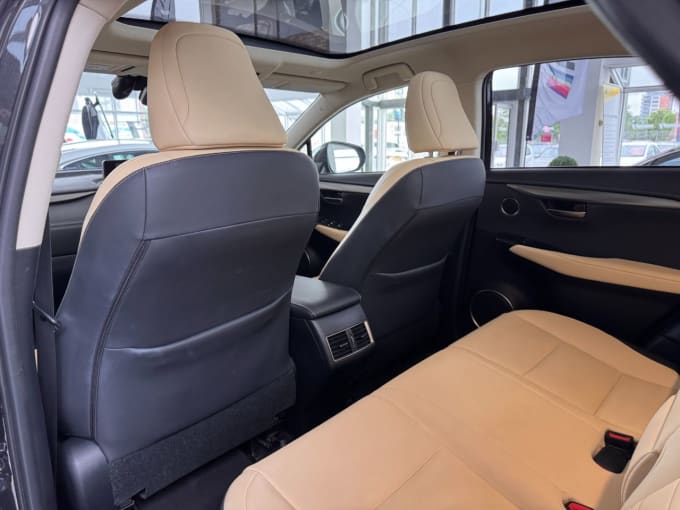 2025 Lexus Nx