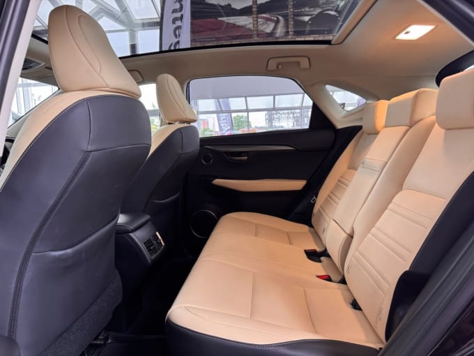 2025 Lexus Nx