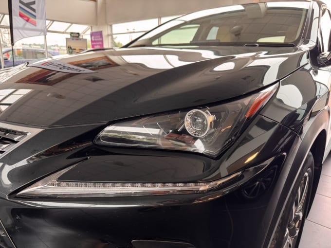 2025 Lexus Nx