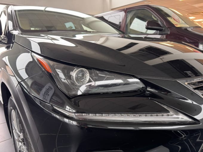 2025 Lexus Nx