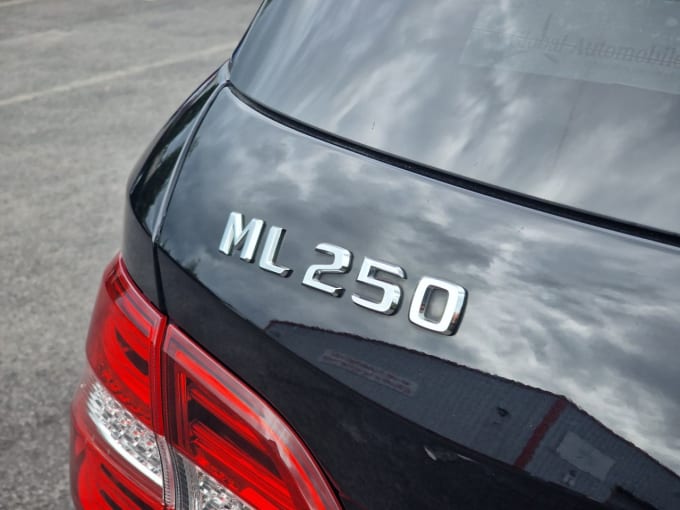 2025 Mercedes-benz M-class