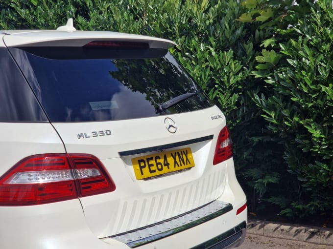 2025 Mercedes-benz M-class