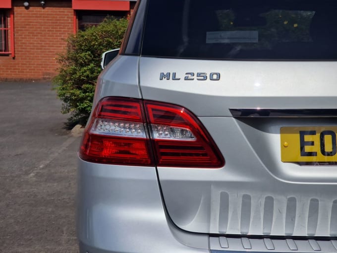 2025 Mercedes-benz M-class