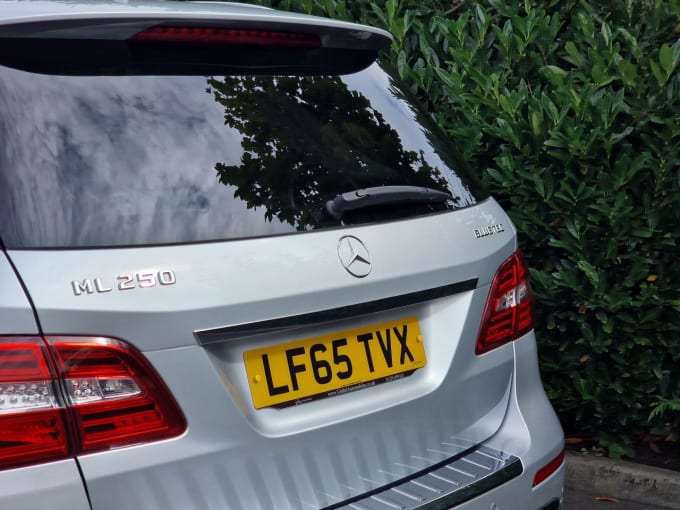 2025 Mercedes-benz M-class
