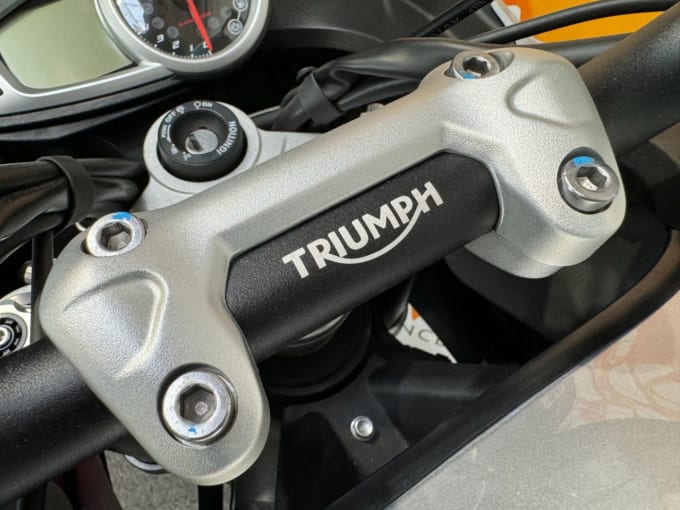 2024 Triumph Tiger