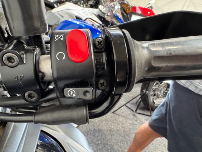 2025 Triumph Tiger 800