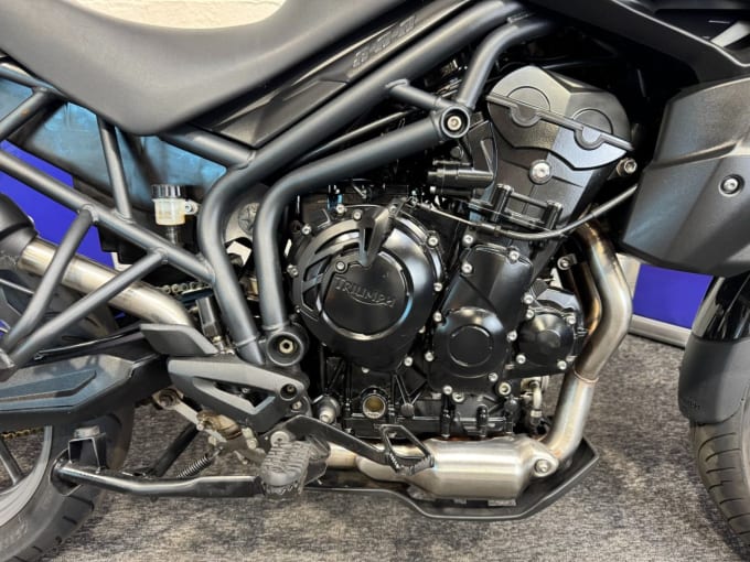 2025 Triumph Tiger 800