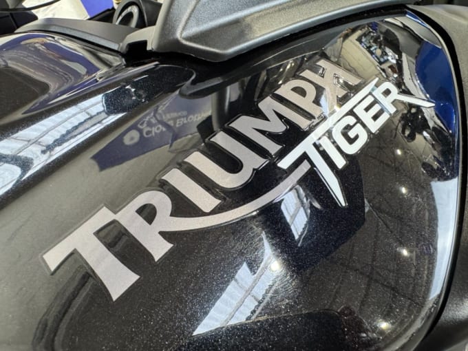 2025 Triumph Tiger 800