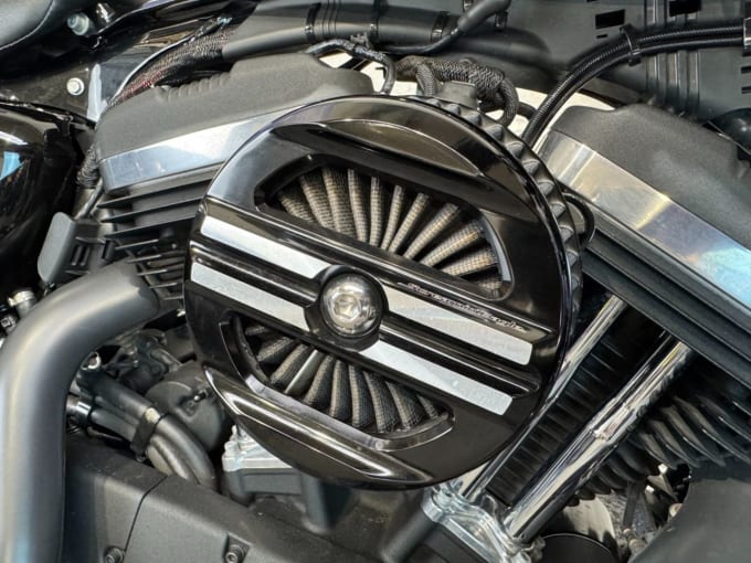 2025 Harley-davidson Sportster
