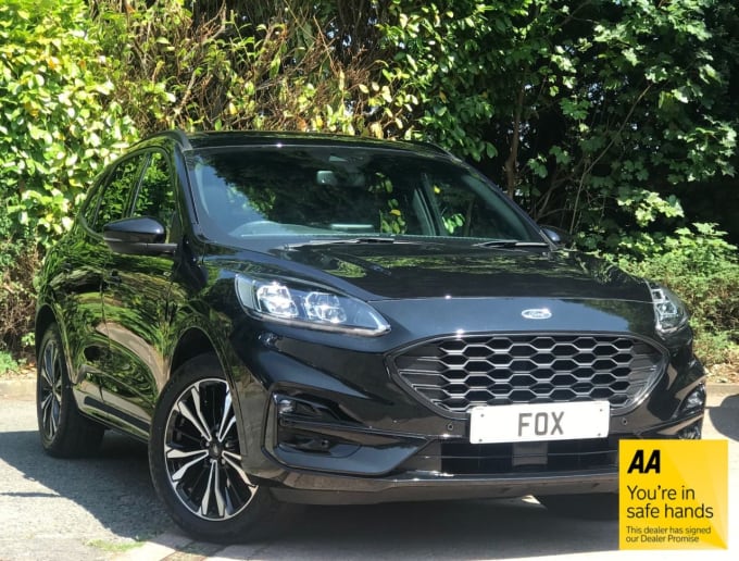 2025 Ford Kuga