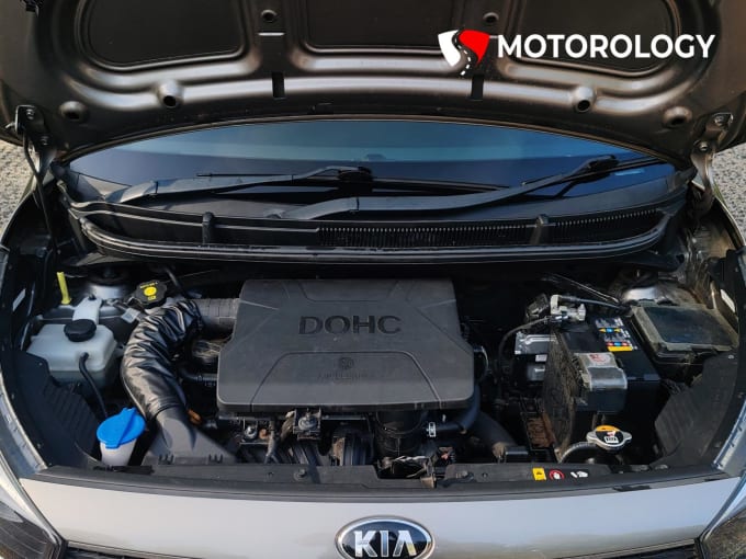 2019 Kia Picanto