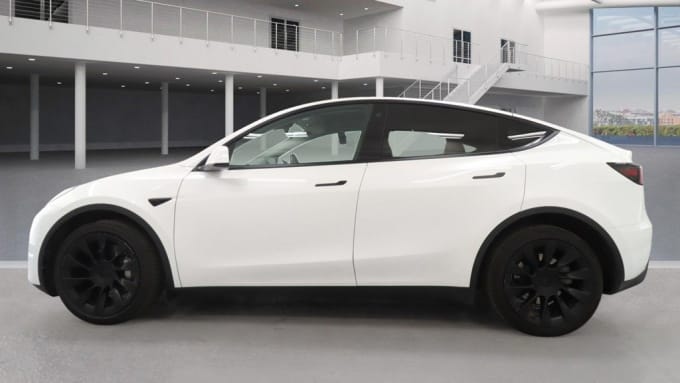 2025 Tesla Model Y