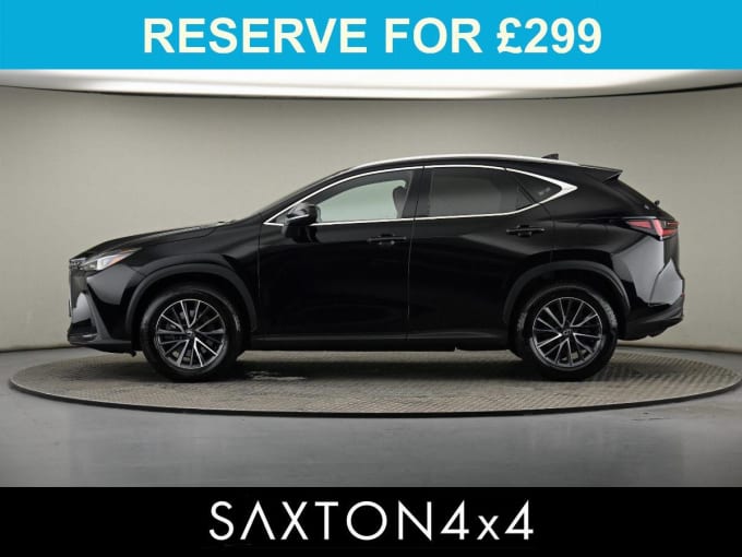 2025 Lexus Nx